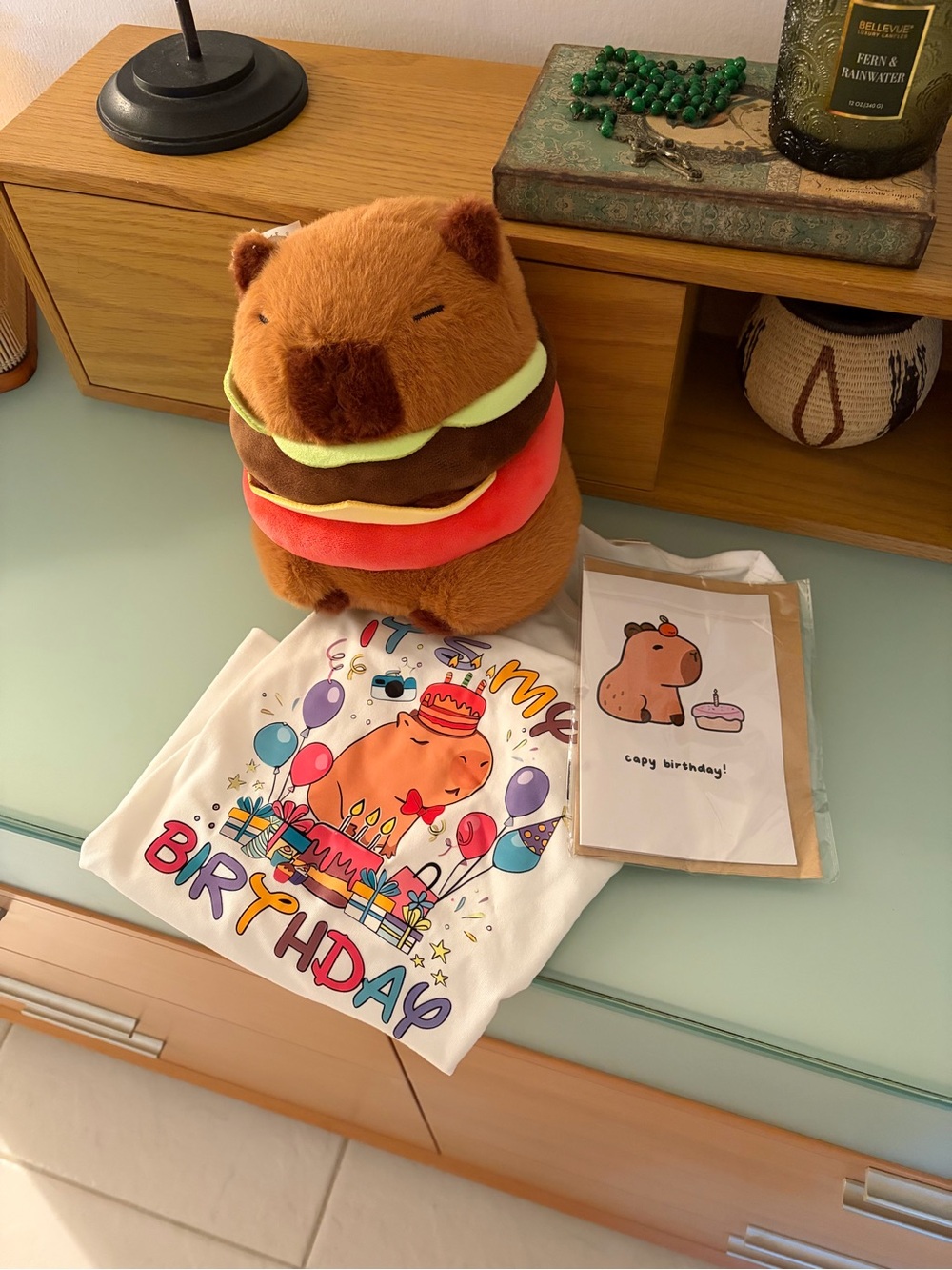 Birthday Capybara Plush Stack with Colorful Tee and Card